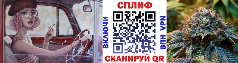 Канабис план Верхняя Пышма